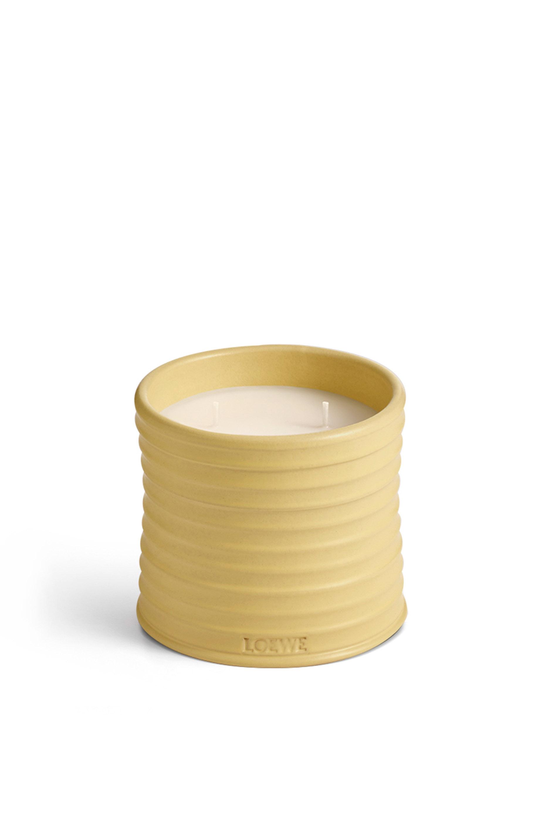 Medium Honeysuckle candle by LOEWE