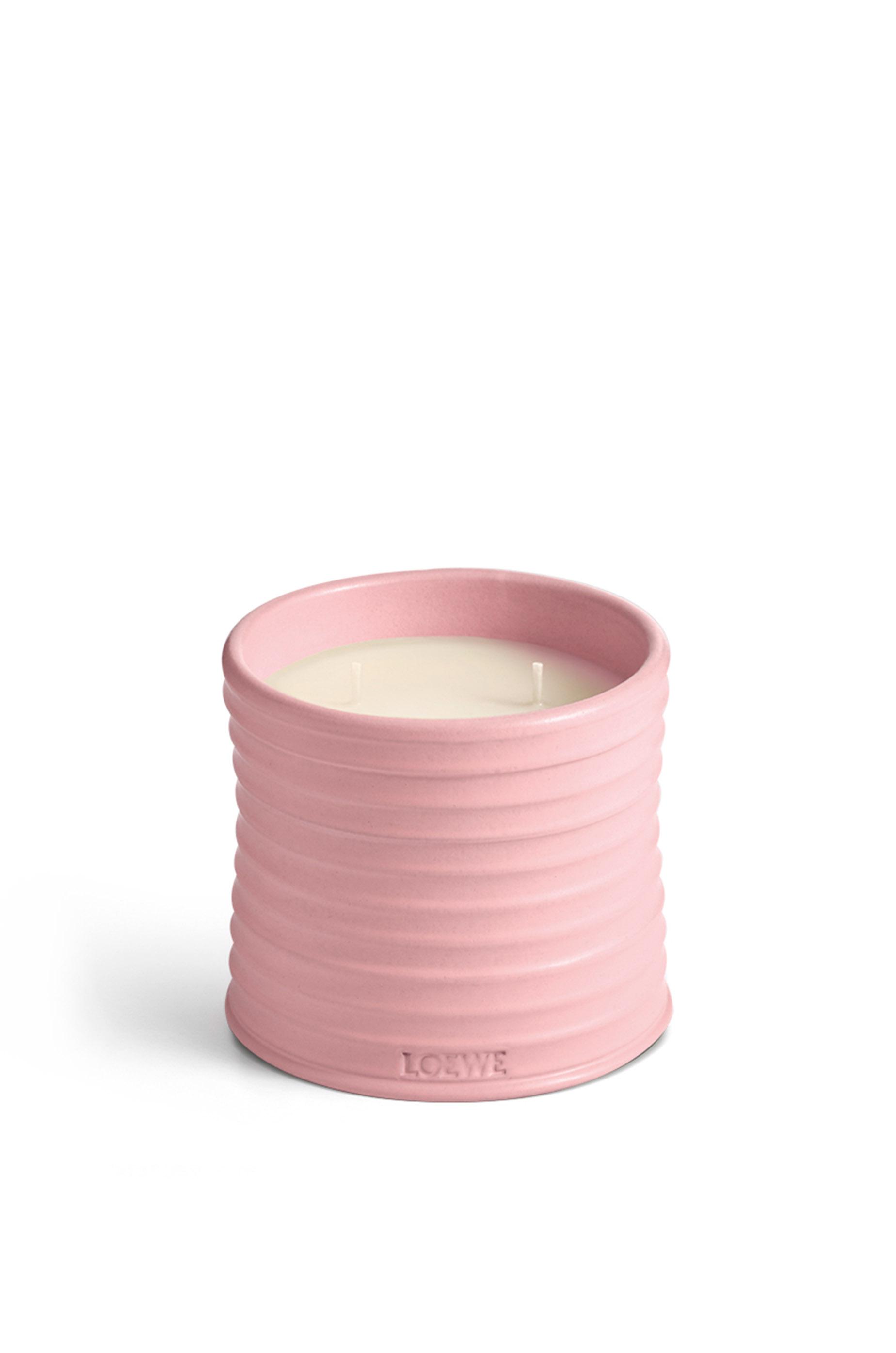 Medium Ivy candle by LOEWE