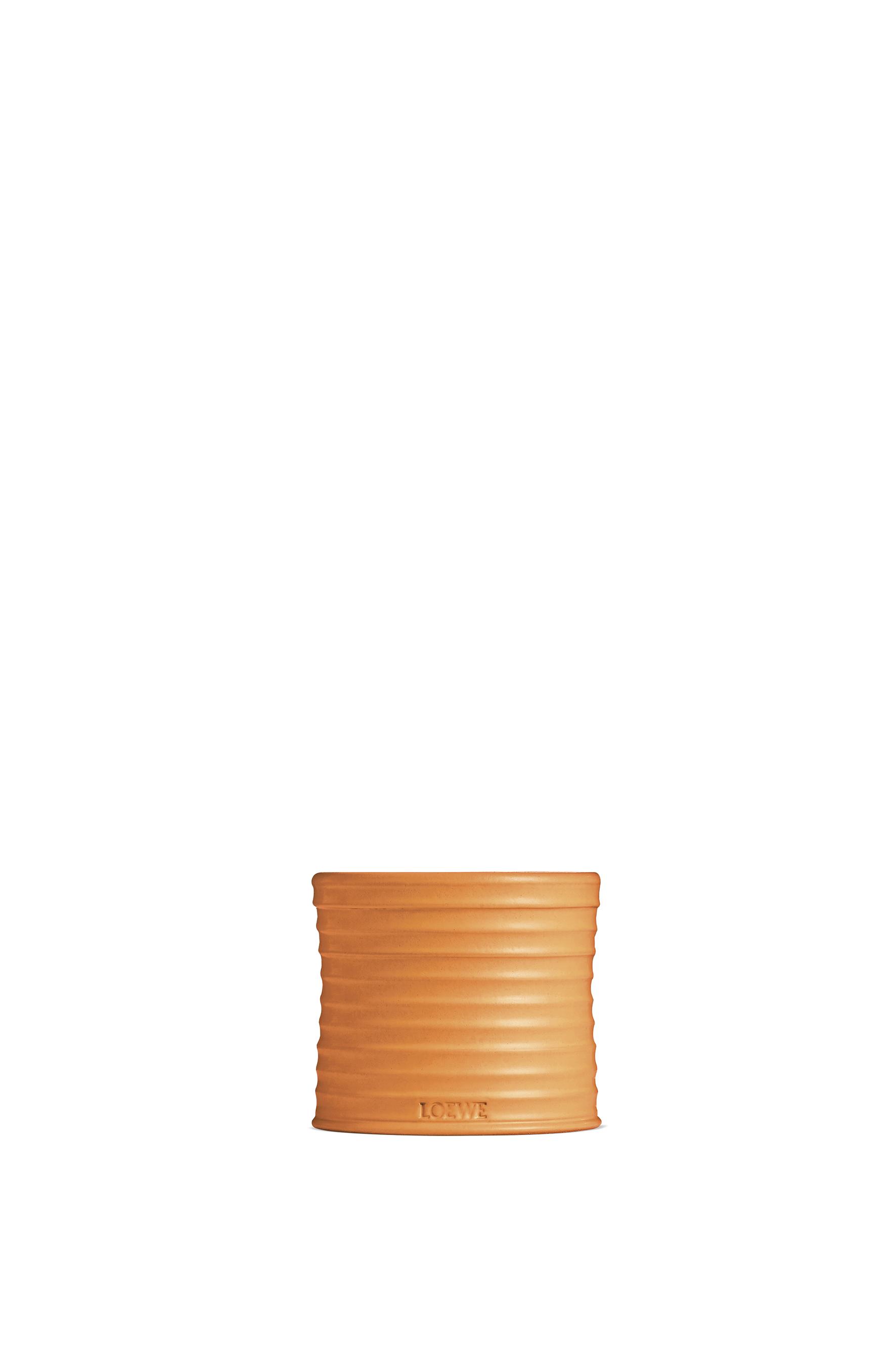 Medium Orange Blossom candle by LOEWE