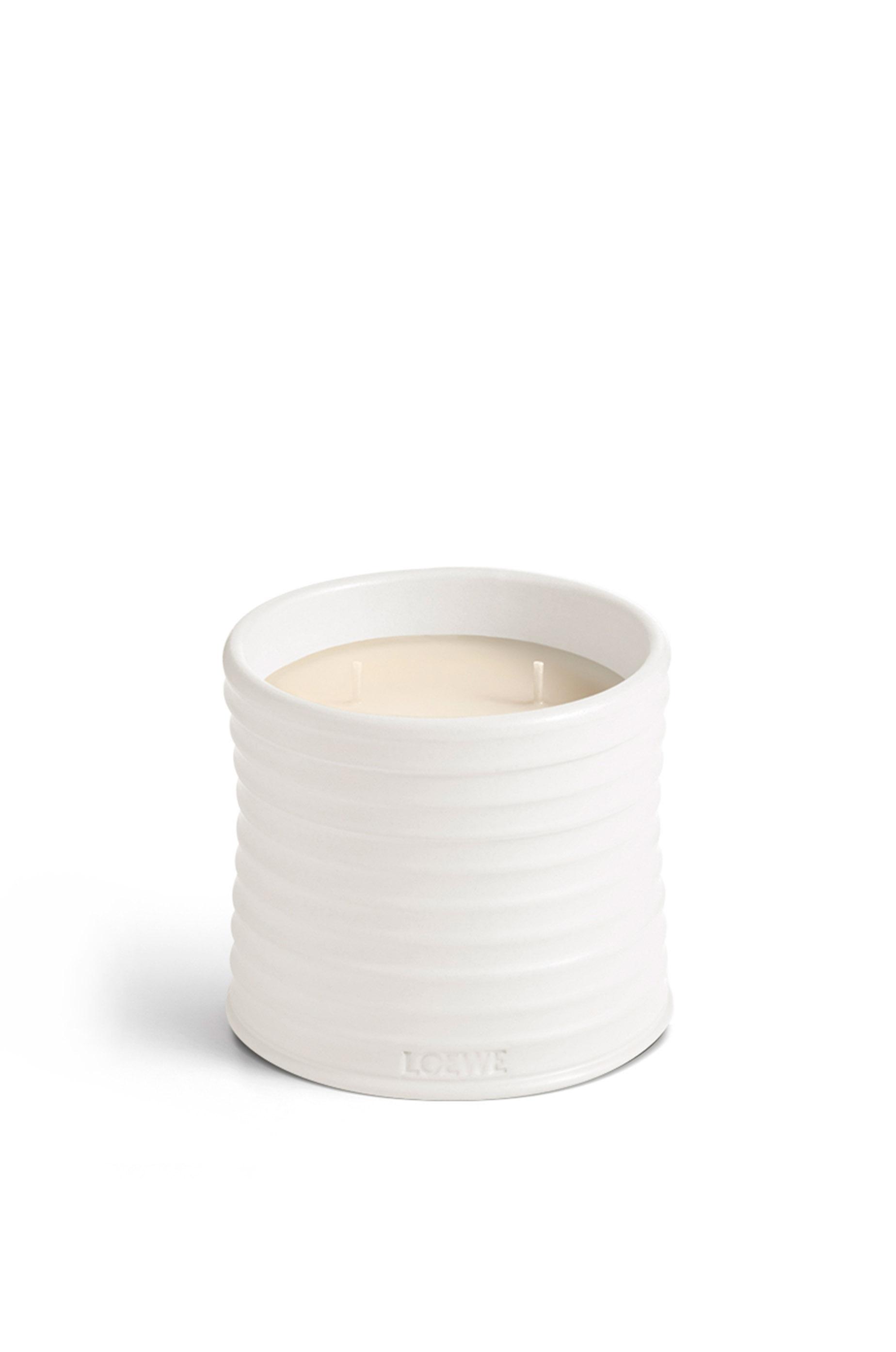 Medium Oregano candle by LOEWE