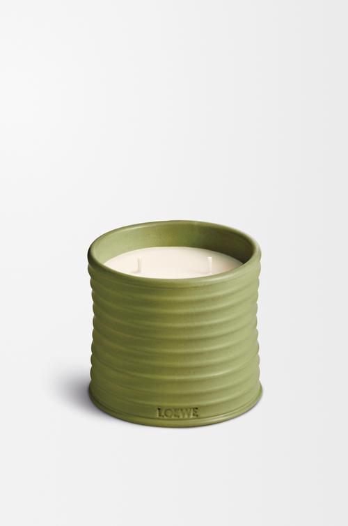 Medium Pistacchio candle by LOEWE