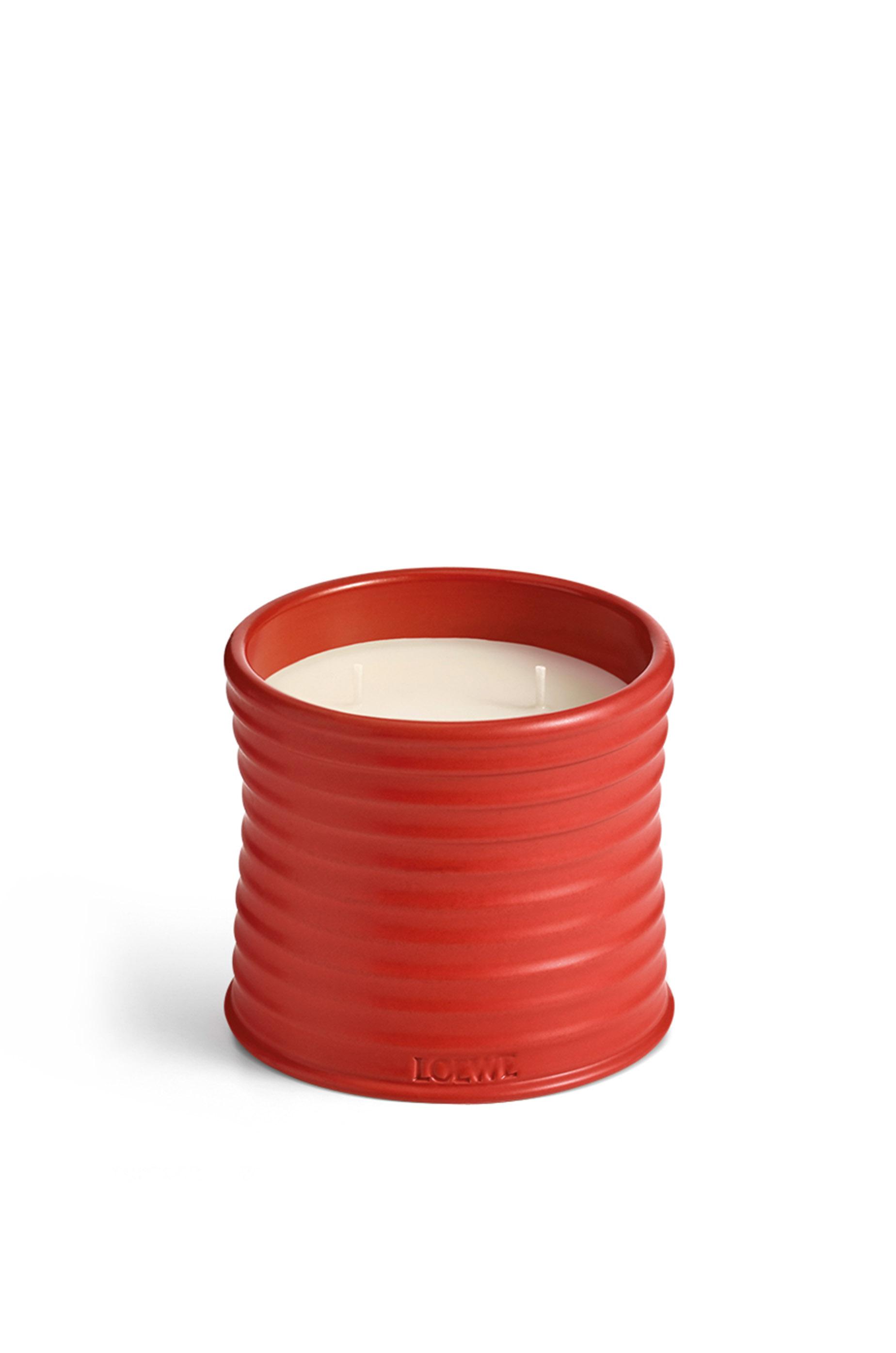 Medium Tomato Leaves candle by LOEWE
