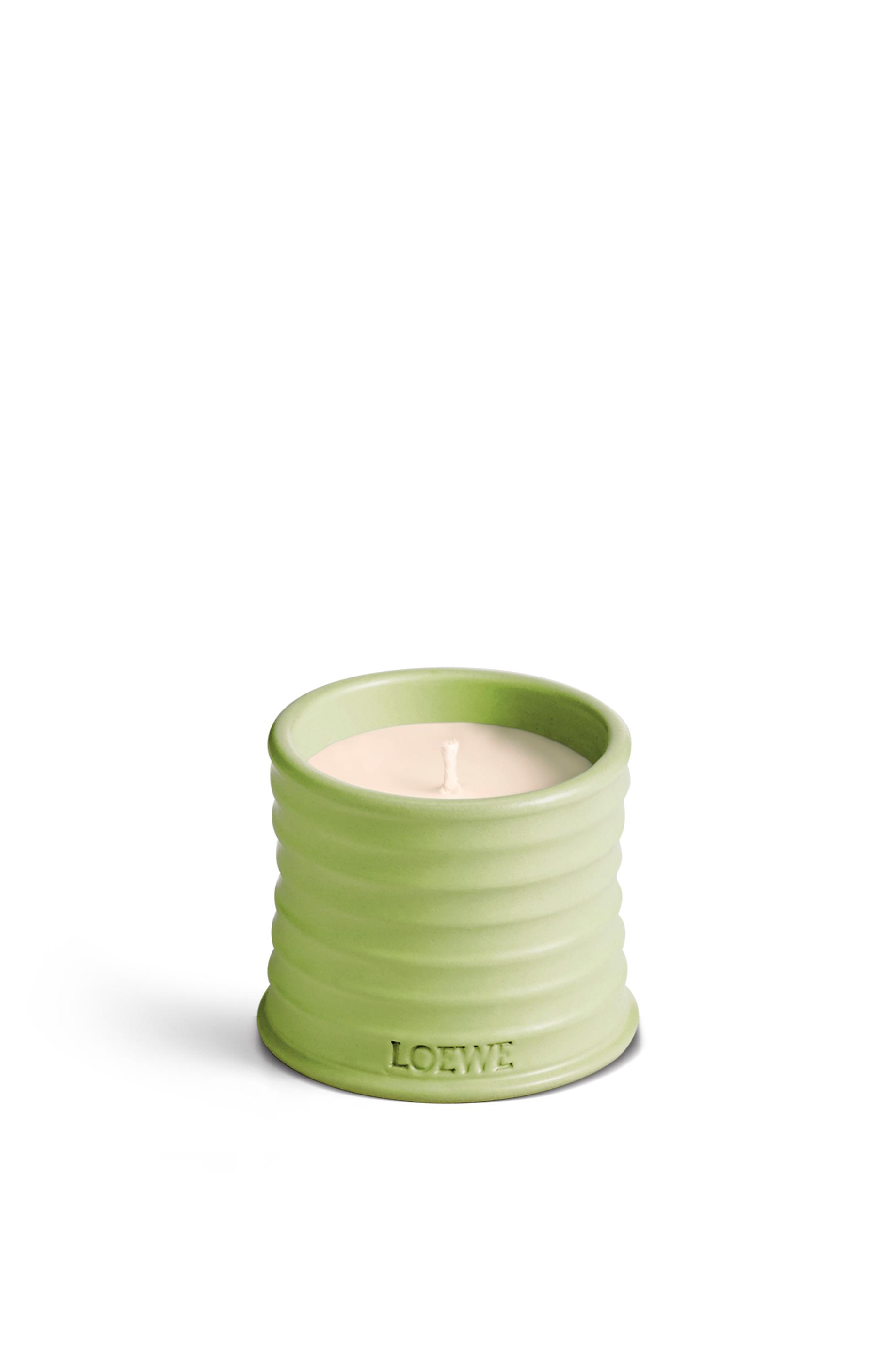 Small Cucumber candle by LOEWE