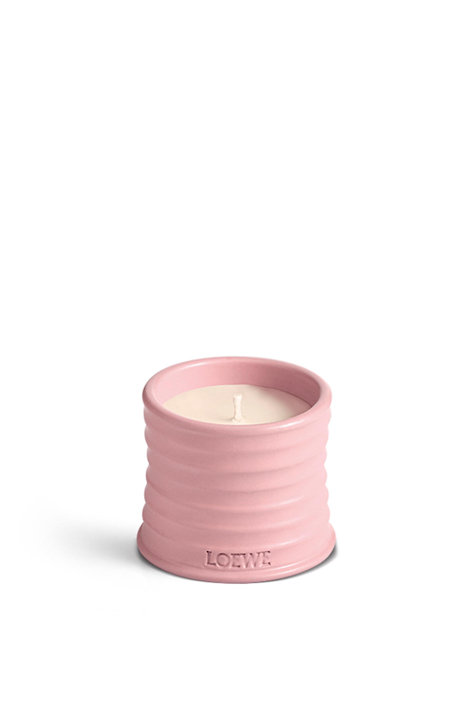 Small Ivy candle by LOEWE