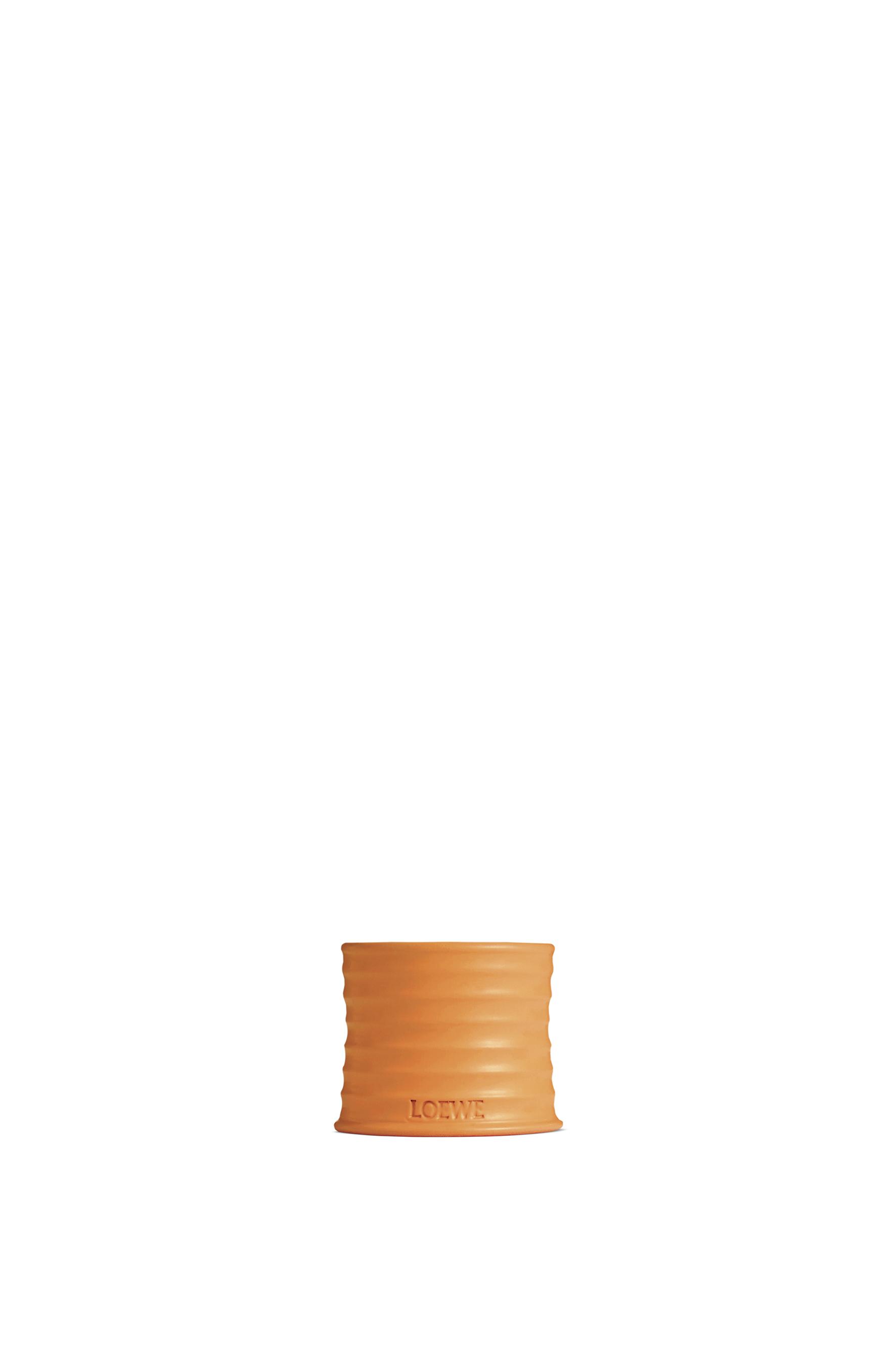 Small Orange Blossom candle by LOEWE