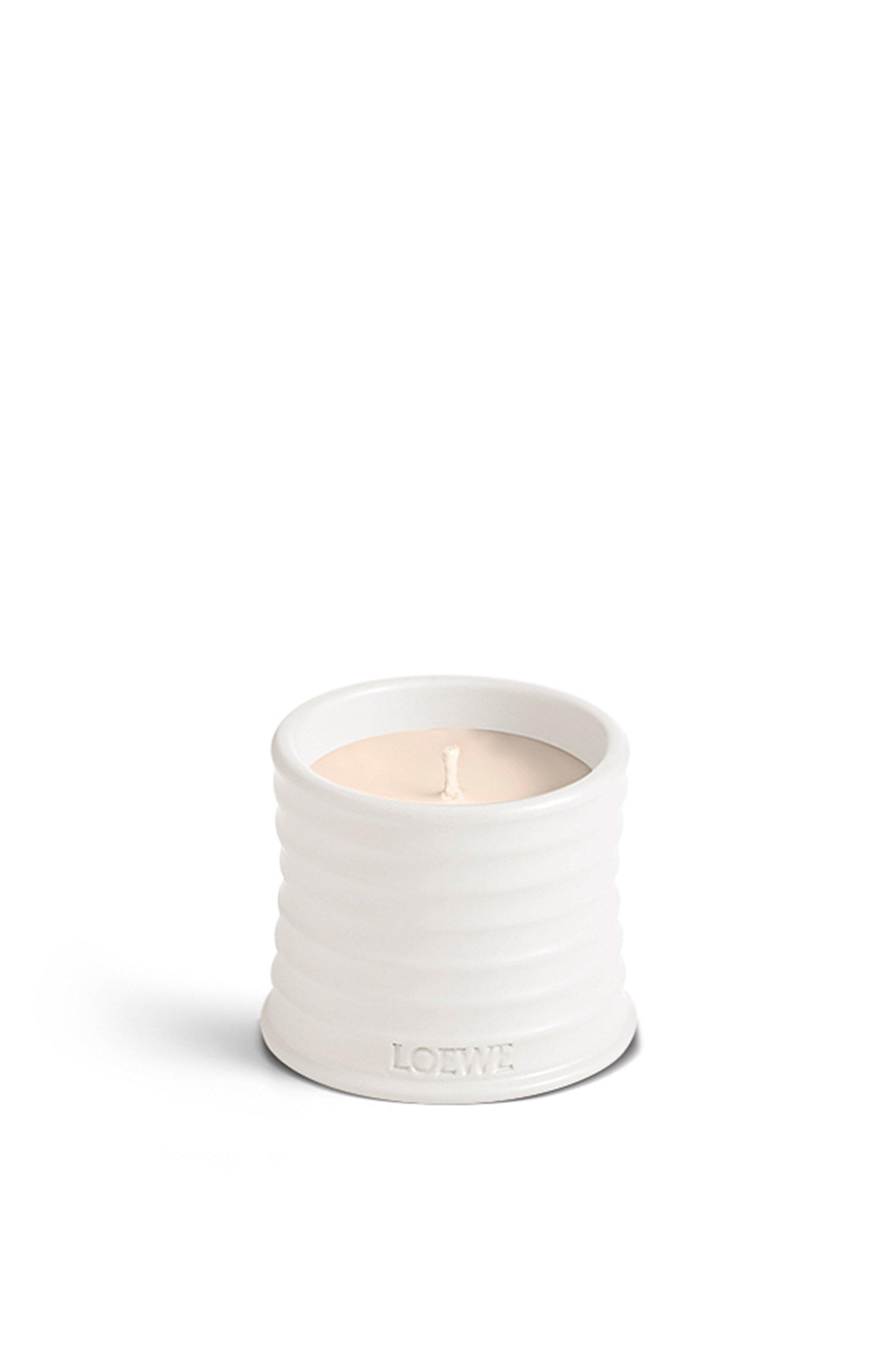 Small Oregano candle by LOEWE