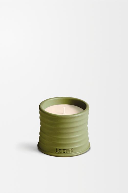 Small Pistacchio candle by LOEWE