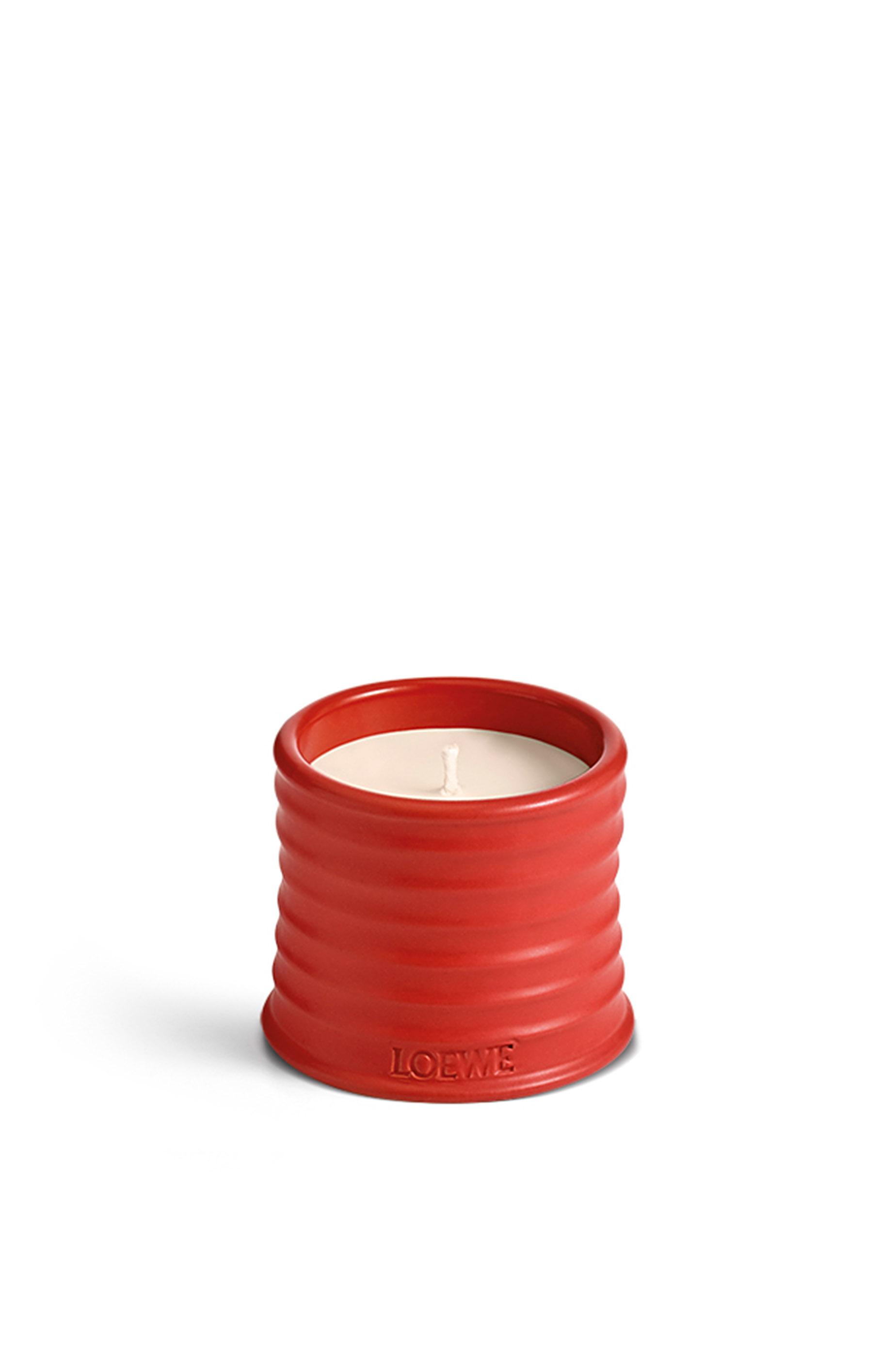 Small Tomato Leaves candle by LOEWE