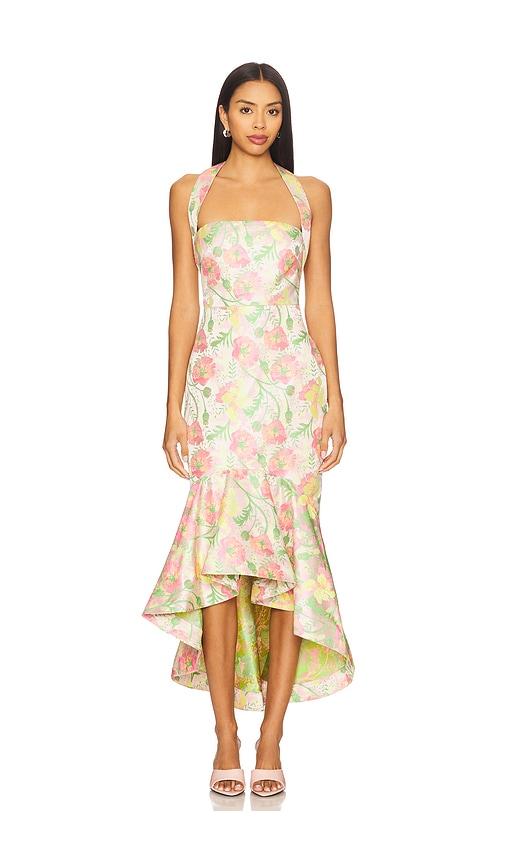 Lovers and Friends Ivy Maxi Dress in Pink by LOVERS&FRIENDS