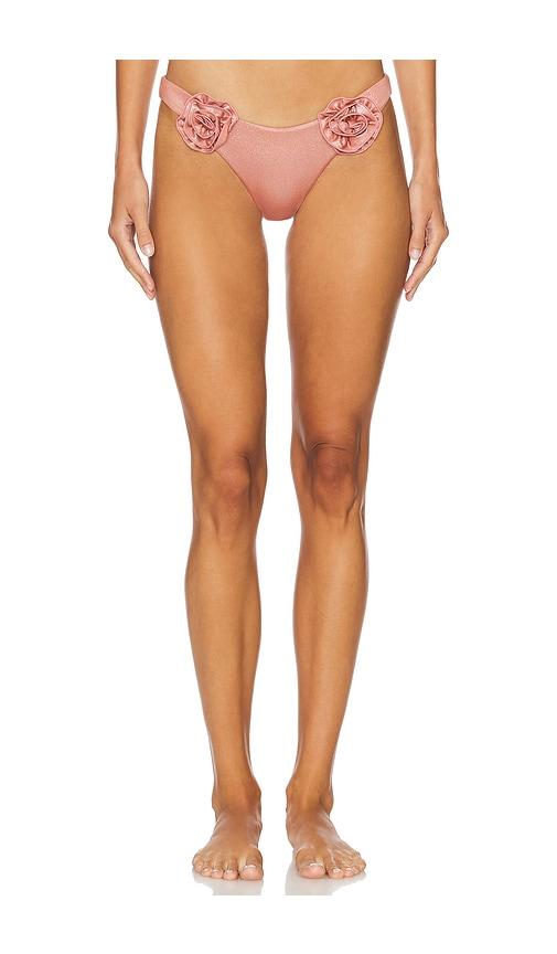 lovewave The Hemi Bottom in Blush by LOVEWAVE