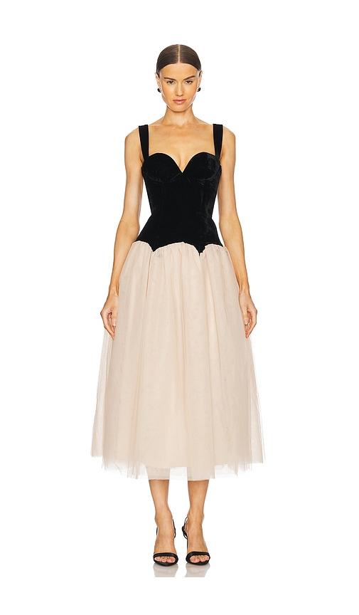 LPA Estella Midi Dress in Black,Cream by LPA