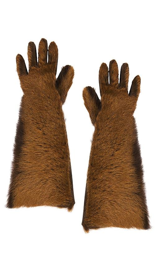 Magda Butrym Leather Gloves in Brown by MAGDA BUTRYM
