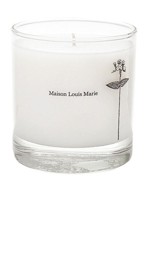 Maison Louis Marie Antidris Cassis Candle in Beauty by MAISON LOUIS MARIE