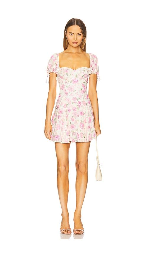 MAJORELLE Priscilla Mini Dress in Ivory,Blush by MAJORELLE