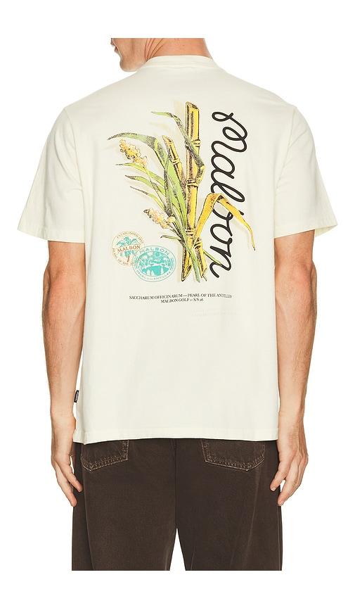 Malbon Origin Tee in Cream by MALBON
