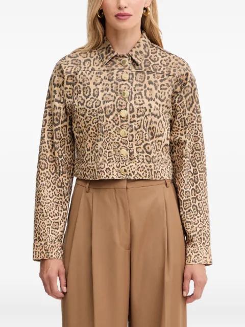 leopard-print button denim jacket by MARCIANO BY GUESS