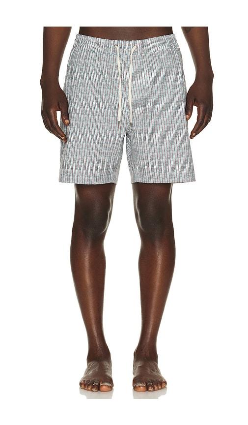 Marine Layer 6 Line Sport & Swim Shorts in Green by MARINE LAYER