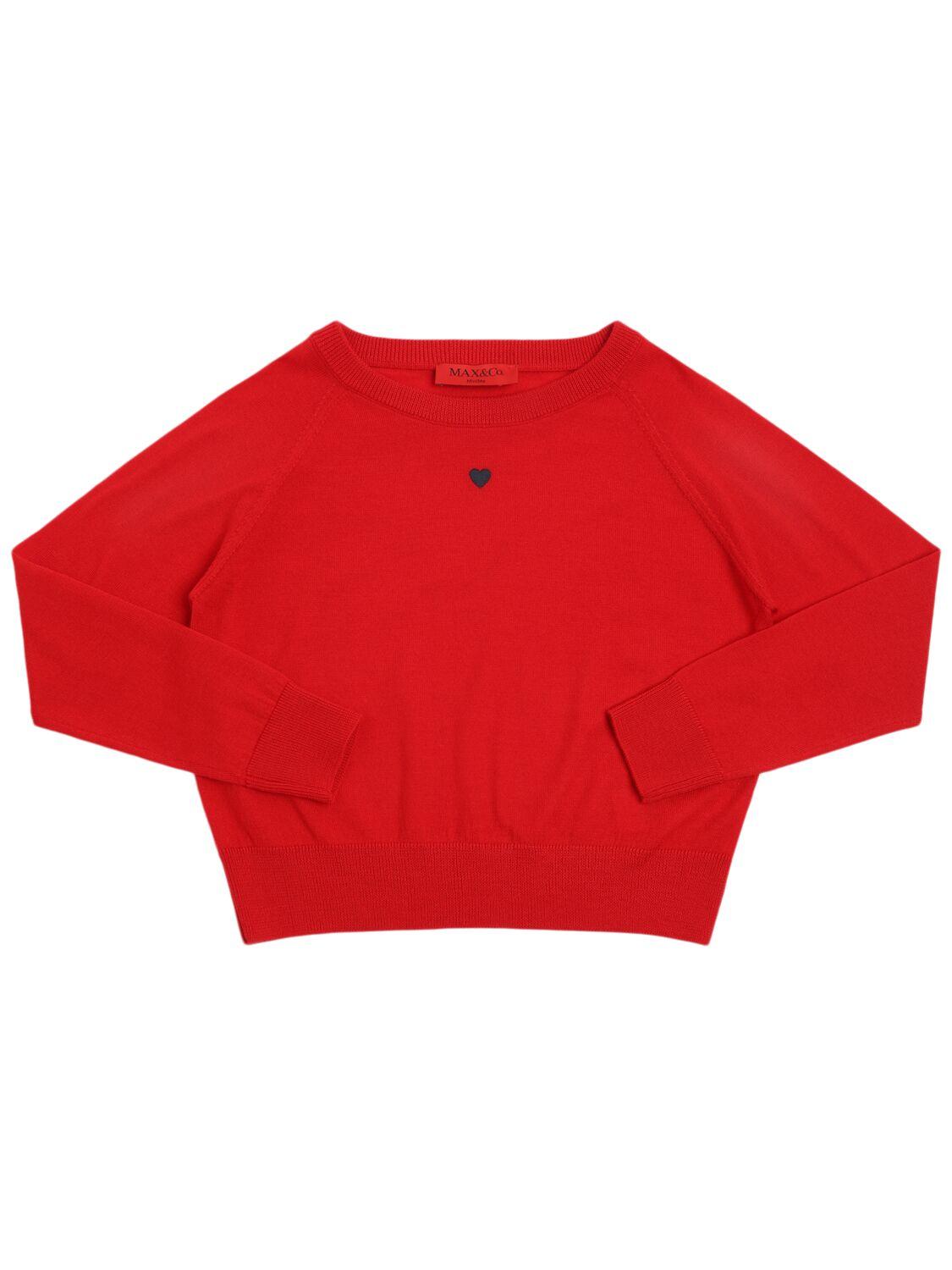 Embroidered Wool Knit Sweater by MAX&CO