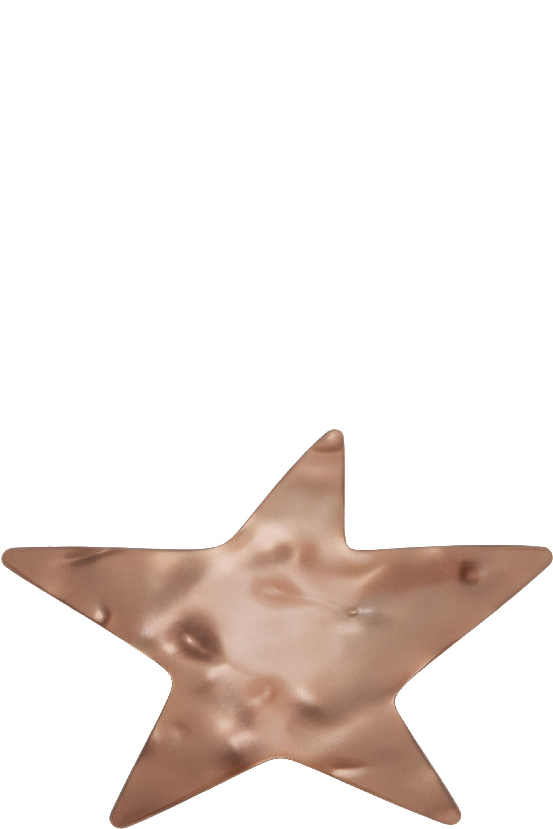 SSENSE Exclusive Brown Star Hair Clip by MERRMA