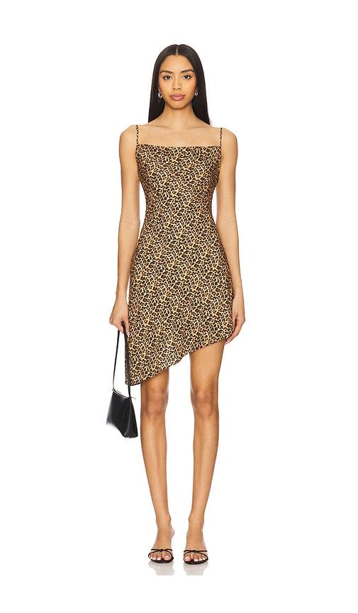 Miaou Helga Dress in Brown by MIAOU