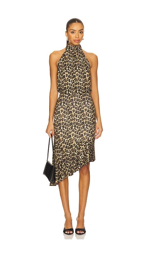 Miaou Karina Dress in Brown by MIAOU