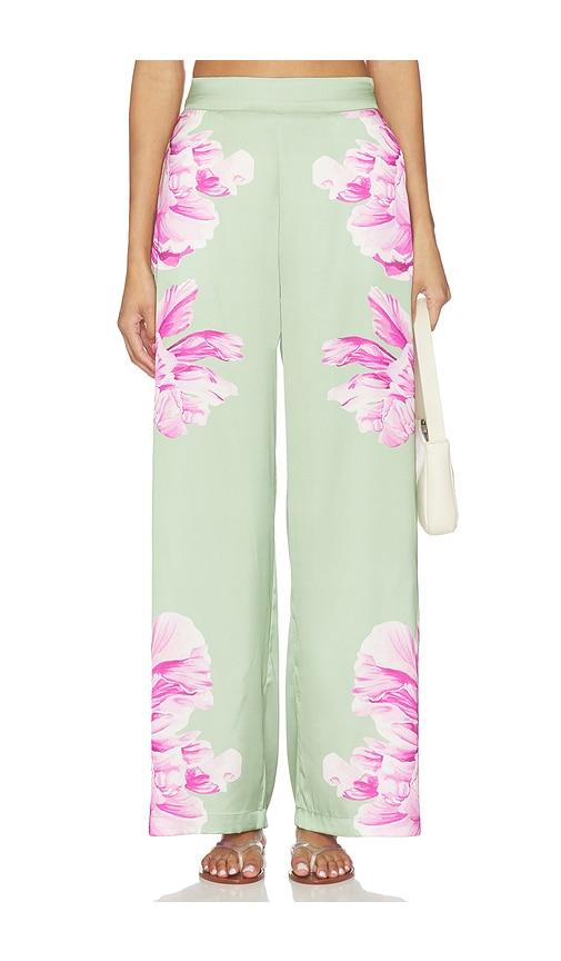 MISA Los Angeles Izzie Pant in Sage by MISA LOS ANGELES