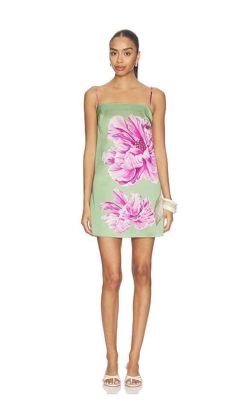 MISA Los Angeles Maxine Dress in Sage by MISA LOS ANGELES