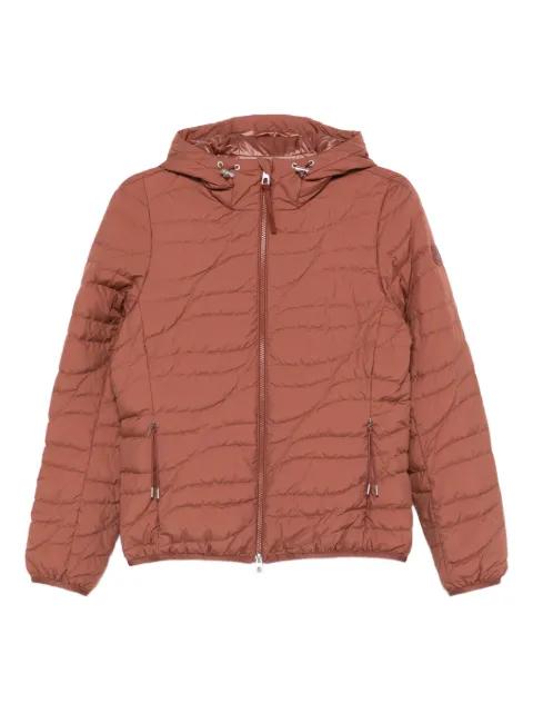 Delebiao hoodied jacket by MONCLER
