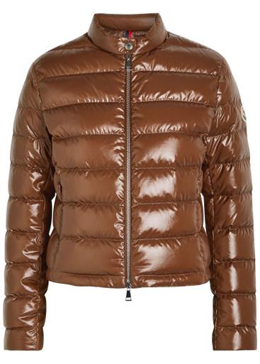 Papillon padded glossed shell jacket by MONCLER