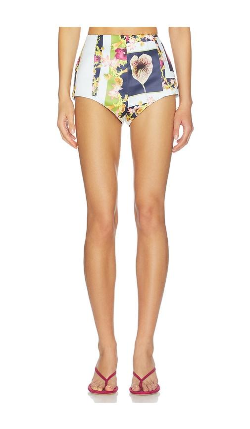 Muma World Understory Hot Shorts in Baby Blue,Olive by MUMA WORLD