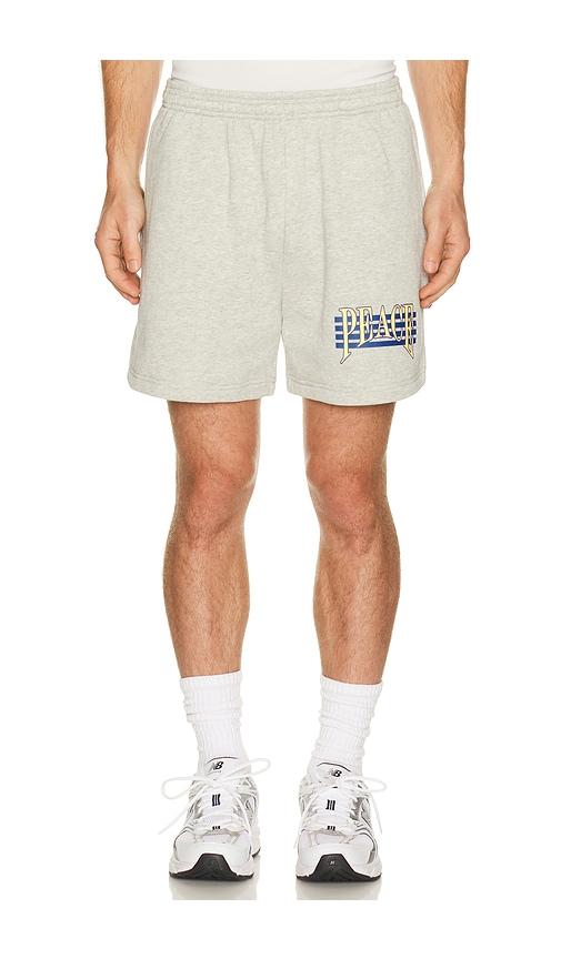 Museum of Peace and Quiet Seventies Sweatshorts in Grey by MUSEUM OF PEACE&QUIET