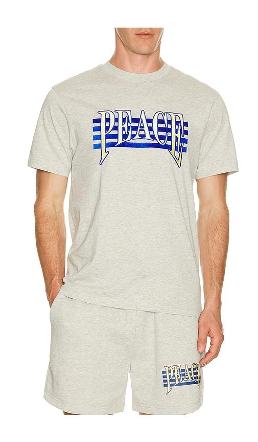 Museum of Peace and Quiet Seventies T-Shirt in Light Grey by MUSEUM OF PEACE&QUIET