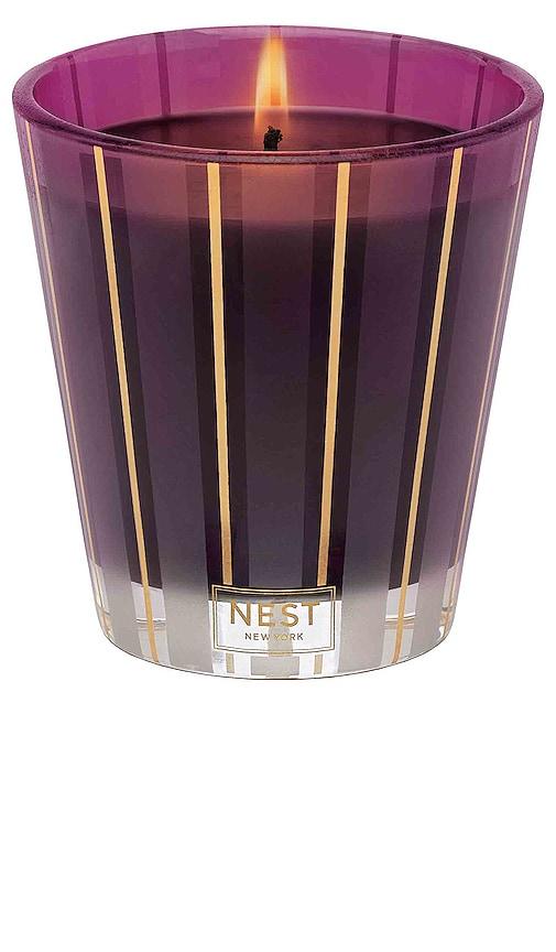 NEST New York Autumn Plum Classic Candle in Purple by NEST NEW YORK NEST New York Autumn Plum Classic Candle in Purple by NEST NEW YORK