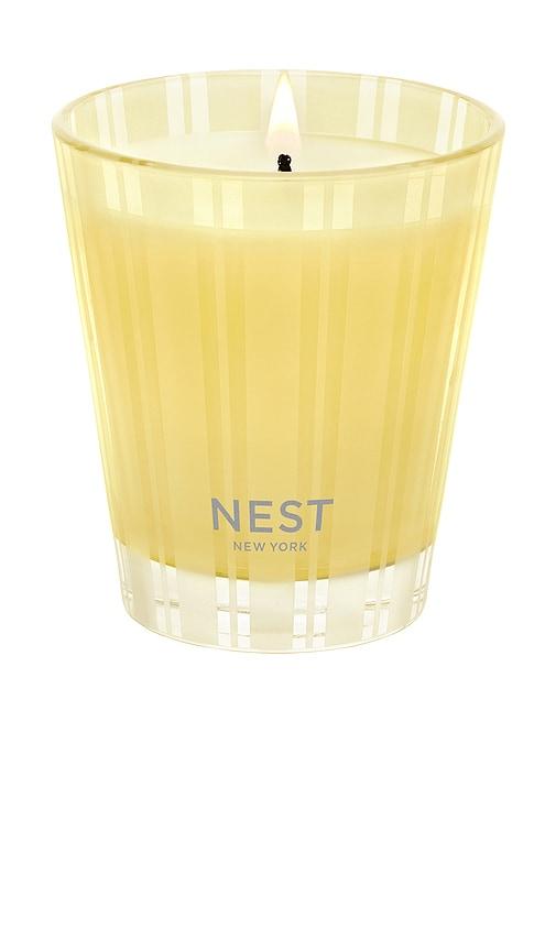 NEST New York Sunlit Yuzu & Neroli Classic Candle in Beauty by NEST NEW YORK