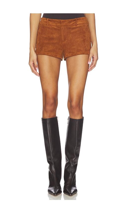 NIA Gower Short in Tan by NIA