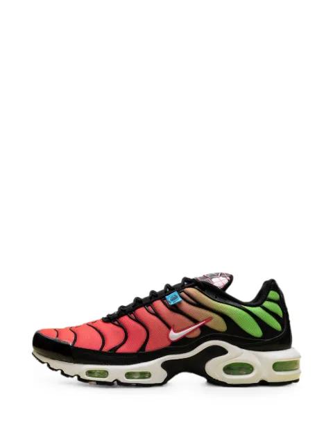 Air Max Plus sneakers by NIKE
