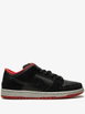 Dunk Low Pro SB sneakers by NIKE