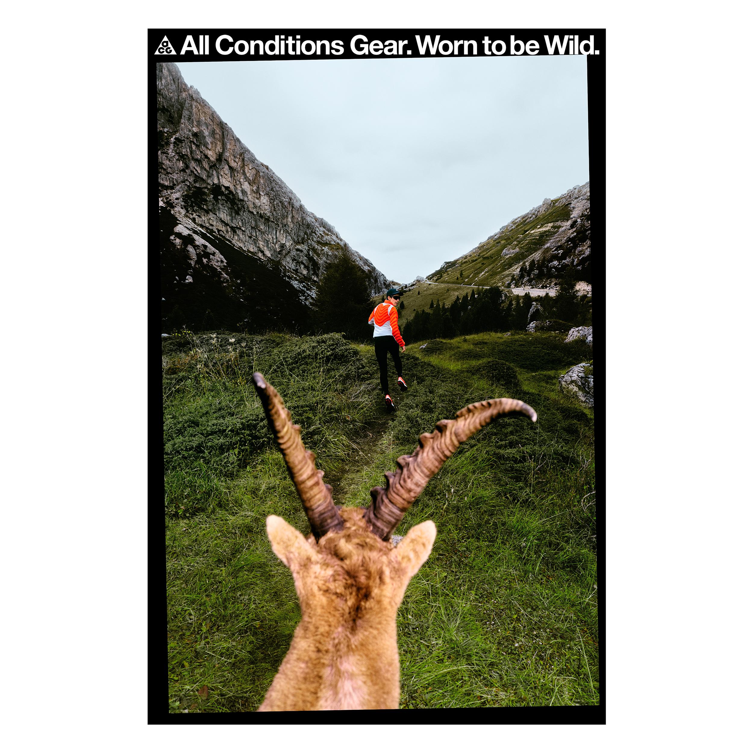 Nike ACG âIbexâ Poster 22" x 34" by NIKE