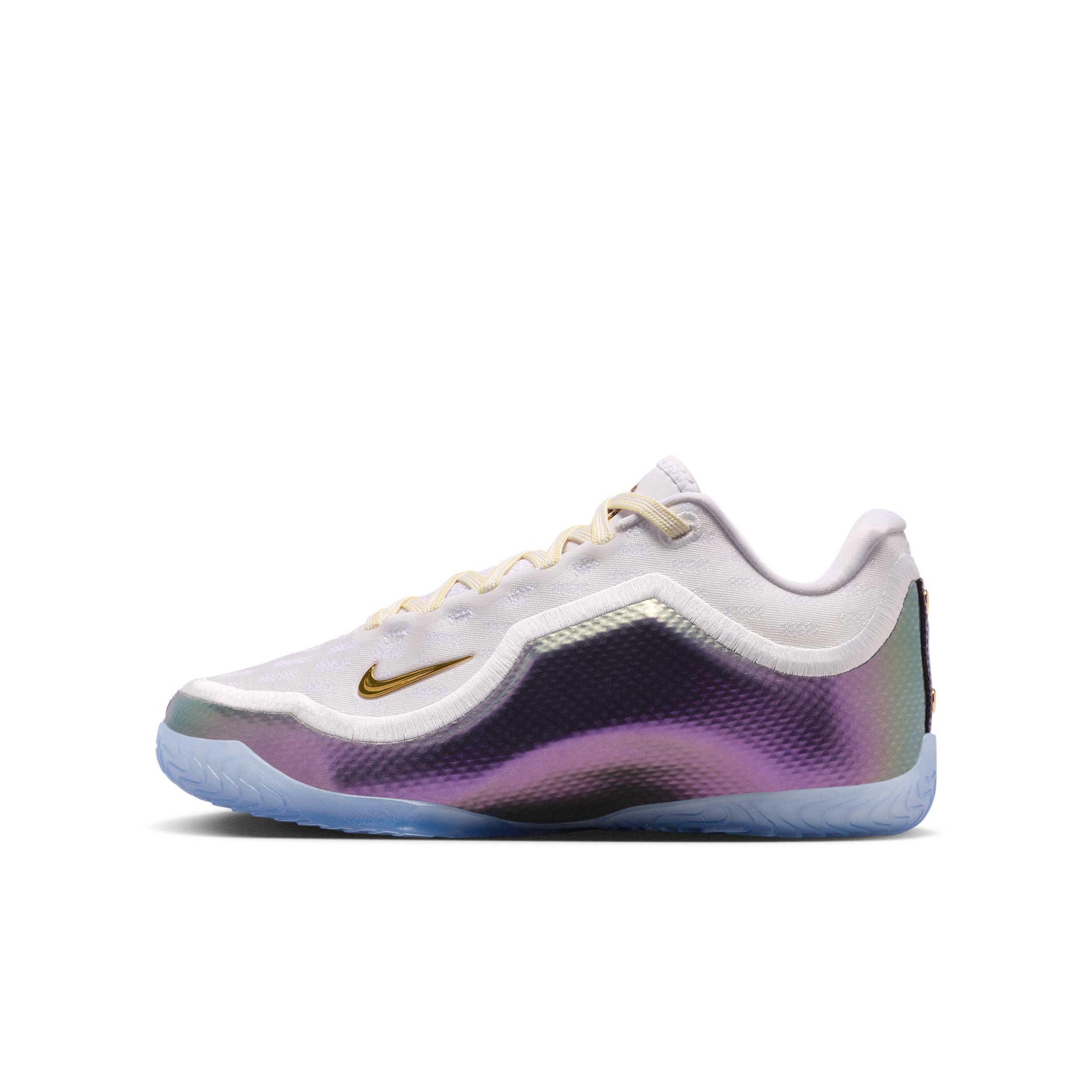 Nike LeBron XXIII "For The Record" Big Kids' Basketball Shoes by NIKE