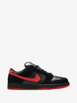 SB Dunk Low sneakers by NIKE