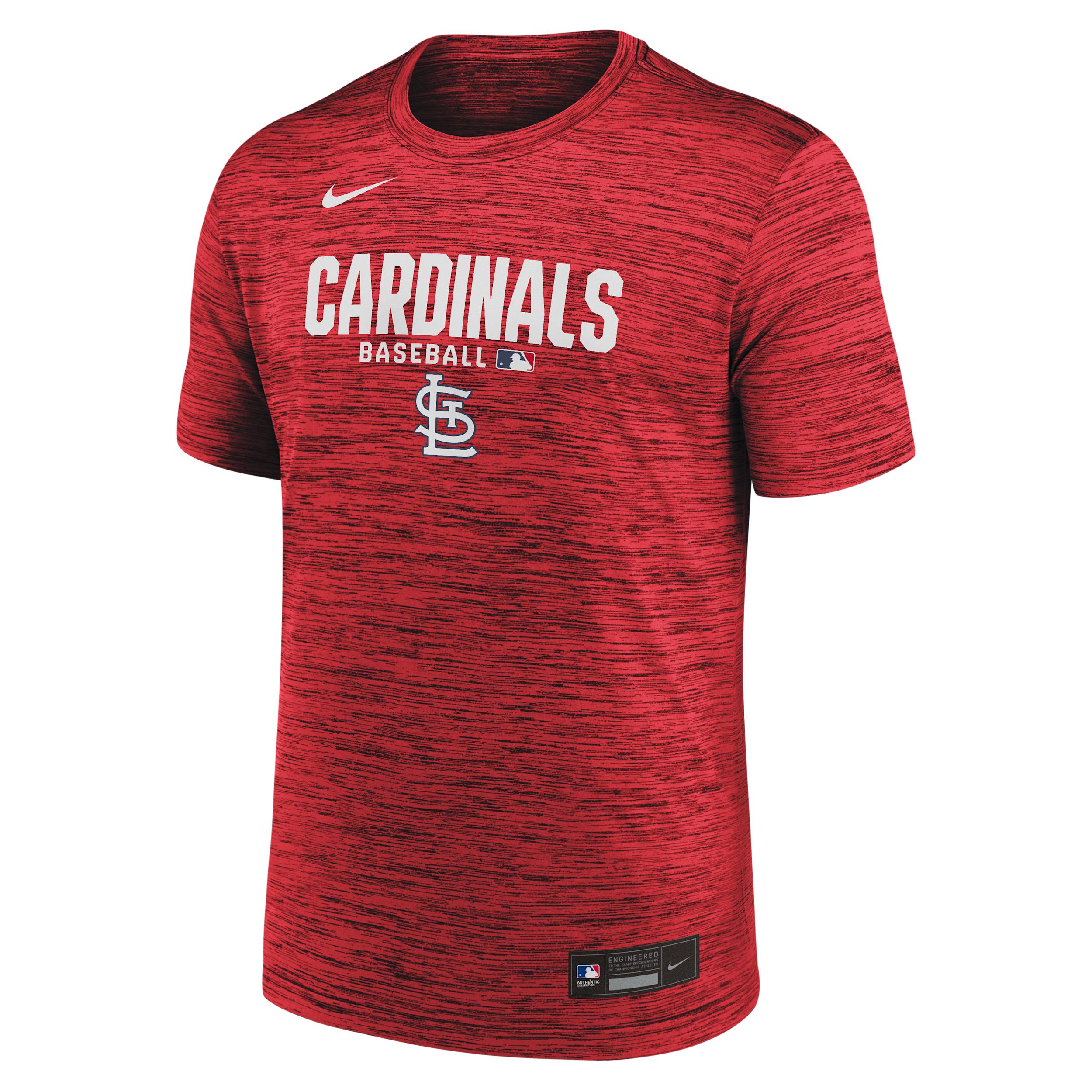 St. Louis Cardinals Authentic Collection Nike Men's Dri-FIT MLB T-Shirt by NIKE