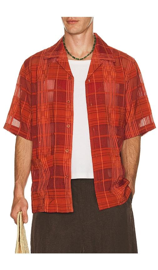 NN07 Ben Short Sleeve Shirt 50066 in Orange by NN07