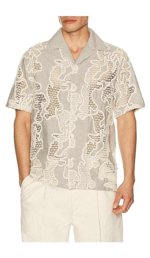 NN07 Juio Shirt in Brown by NN07