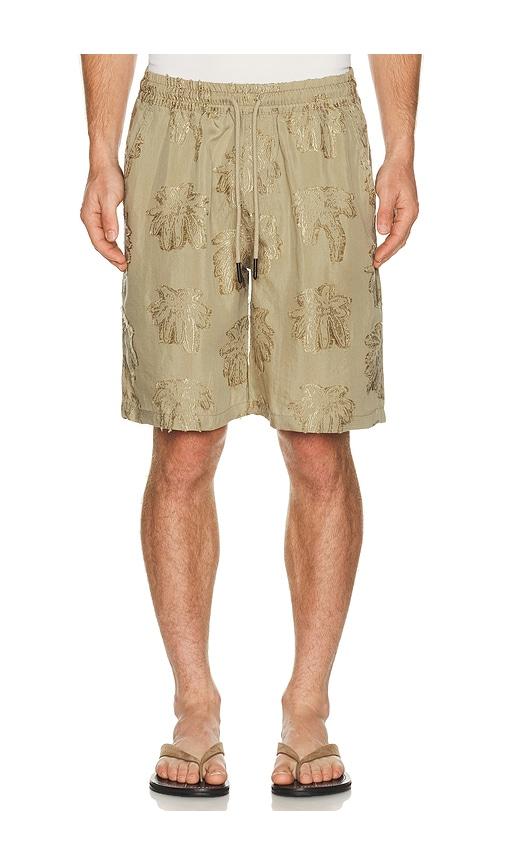 OAS Nicola Shorts in Brown by OAS