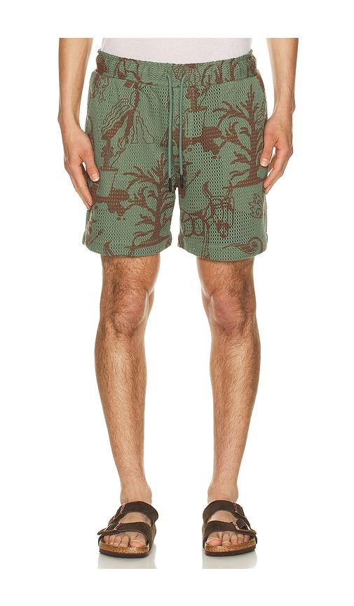 OAS Porto Shorts in Green by OAS