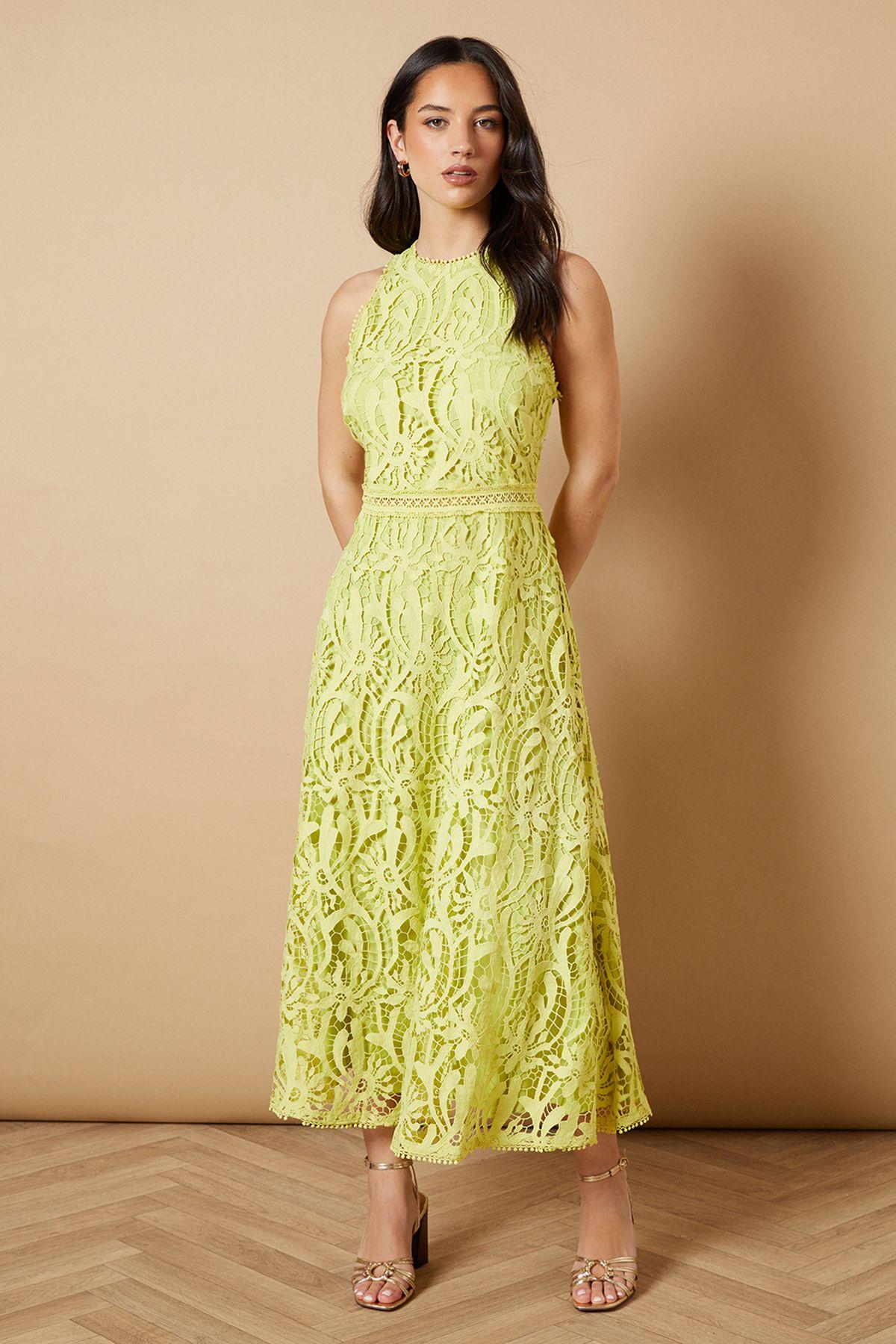 Lace Halterneck Dress by OASIS
