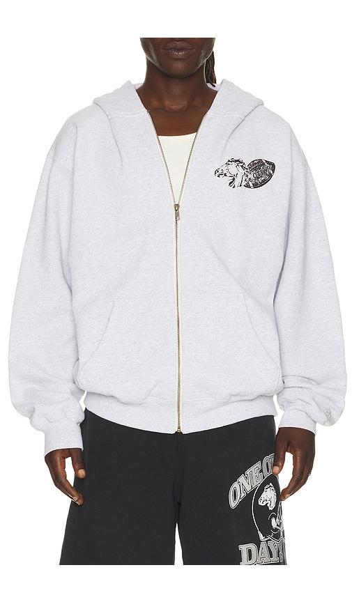 ONE OF THESE DAYS Days Usa Zip Up Hoodie in Light Grey by ONE OF THESE DAYS