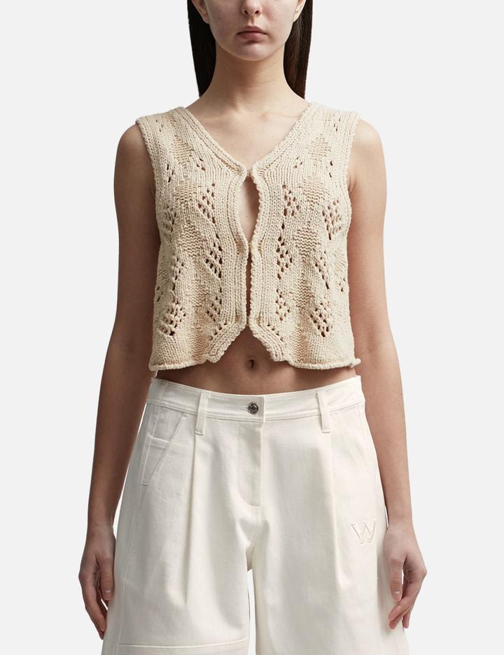 ARGYLE POINTELLE KNIT VEST by OPEN YY