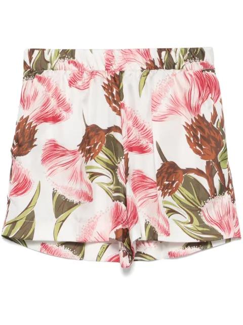 floral-print shorts by P.A.R.O.S.H.