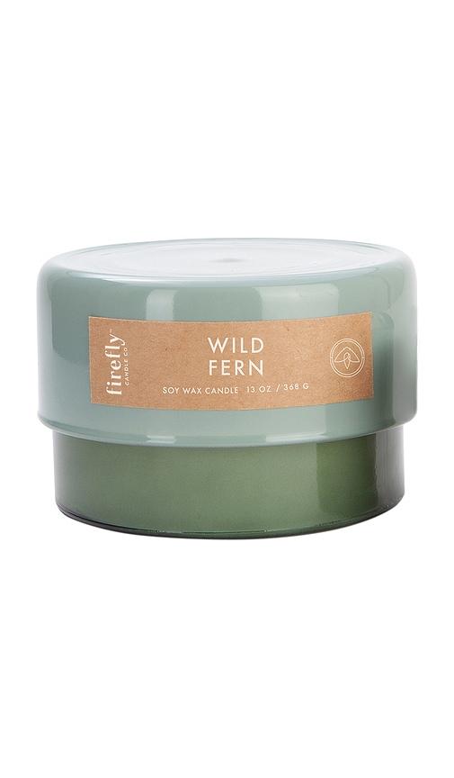 Paddywax Botany Candle in Green by PADDYWAX